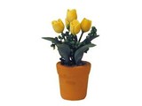 Euromini's Gele tulpen in pot