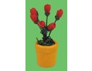 Euromini's Rode tulpen in pot