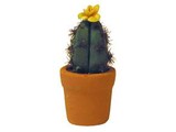 Euromini's Cactus, gele bloem