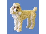 Euromini's Poodle