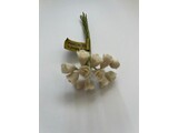 Euromini's EM5309 Bloemen, witte rozen