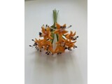 Euromini's EM5323 Bloemen oranje