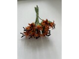 Euromini's EM5349 Bloemen oranje