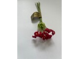 Euromini's EM5325 Bloemen rood