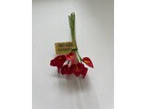 Euromini's EM5334 Bloemen rood