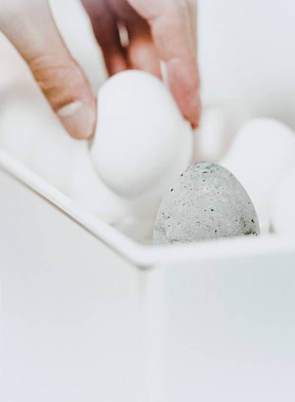"Drying Egg"