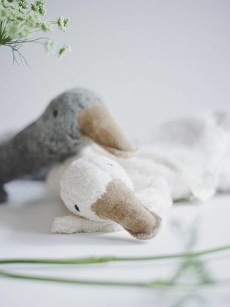 KLEINE KIRSCHKERN-GANS