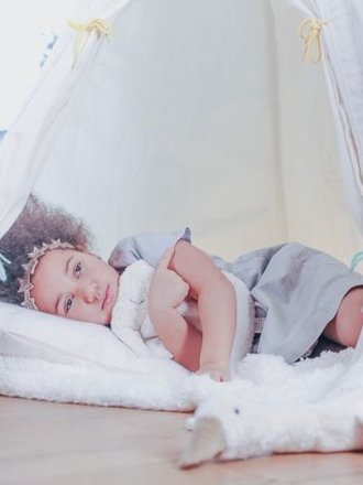 GROSSE DINKELSPREU-GANS