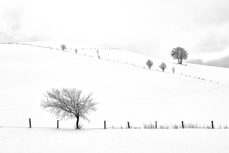 Fotografien von Christof Gerlitz