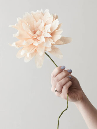 PAPIERBLUME GRAND DAHLIA