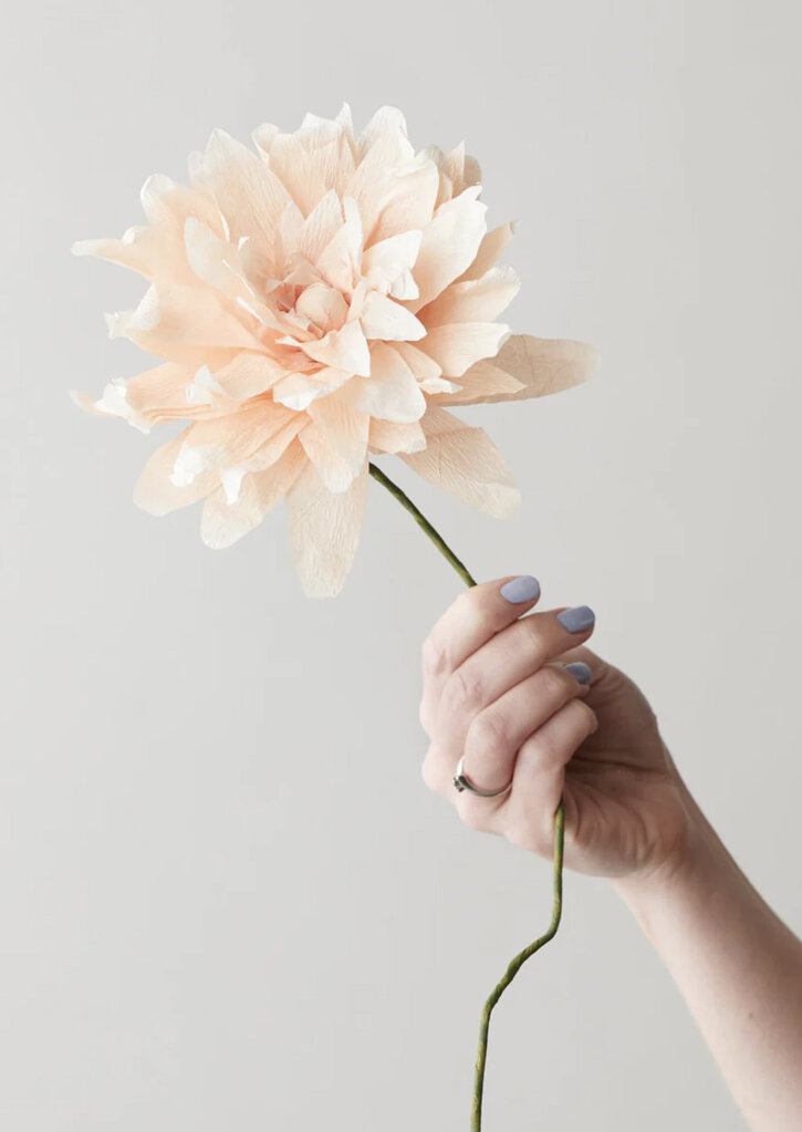 Papierblume GRAND DAHLIA