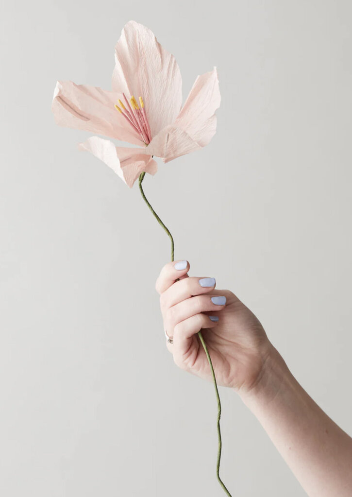 Papierblume Lilie, rosa