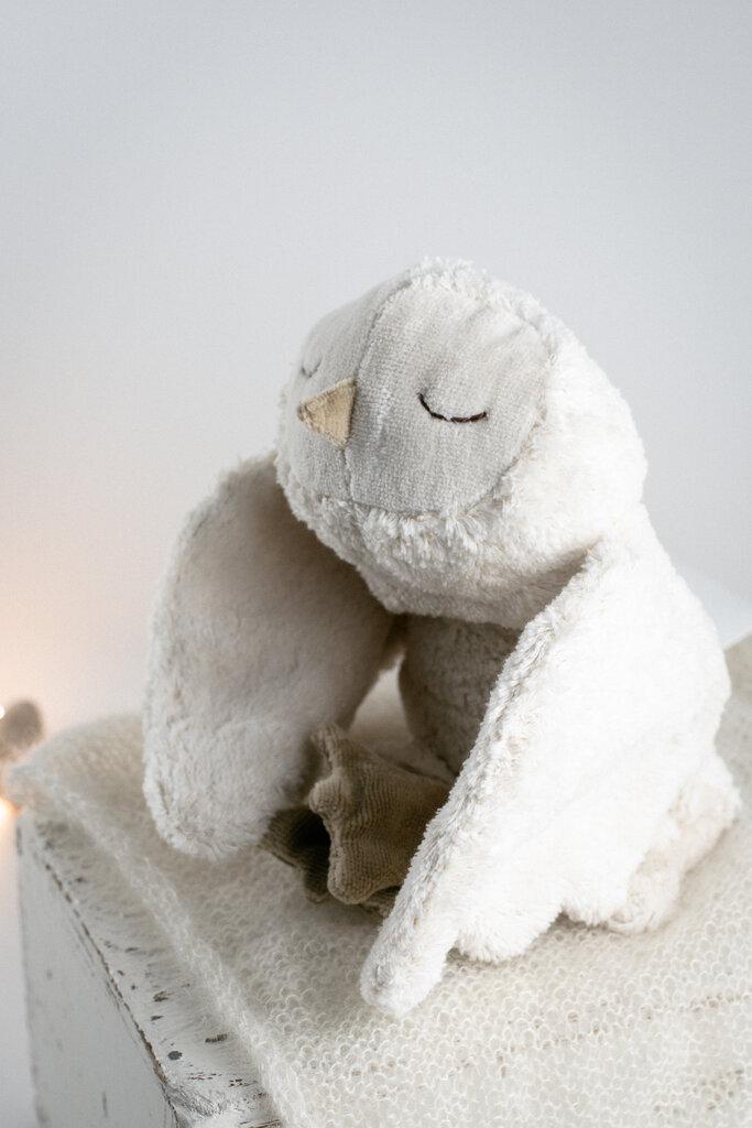 Schneeeule – Wärmekissen & Kuscheltier