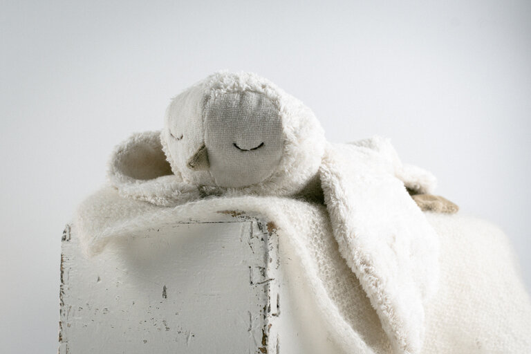 Schneeeule – Wärmekissen & Kuscheltier