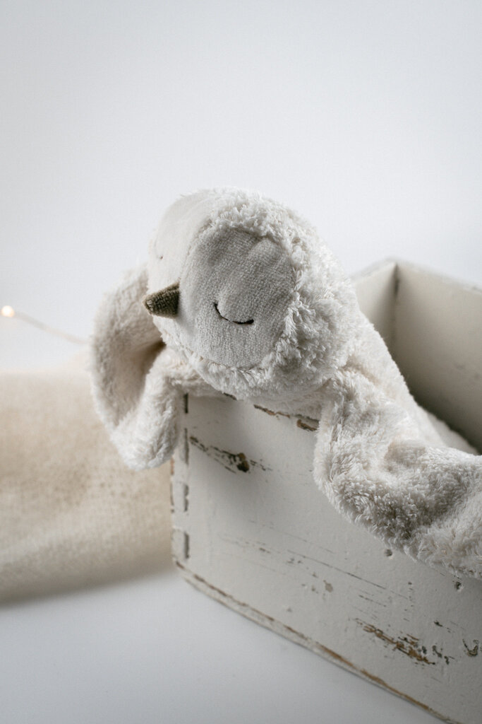 Schneeeule – Wärmekissen & Kuscheltier