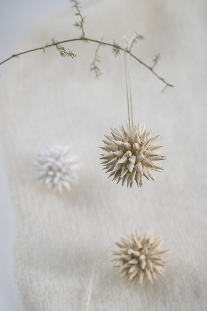 Papierornamente "Kotte" im 6er-Set