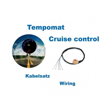 Cruise Control - Harness - VW Polo 9N, Seat Ibiza 6L