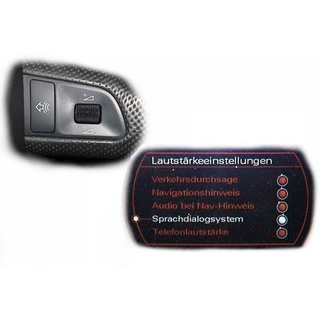 SDS Sprachdialogsystem - Retrofit - Audi Q7 4L