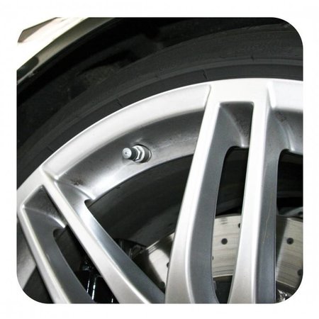 TPMS - Tire Pressure Monitoring - harnas - Audi A4 B6