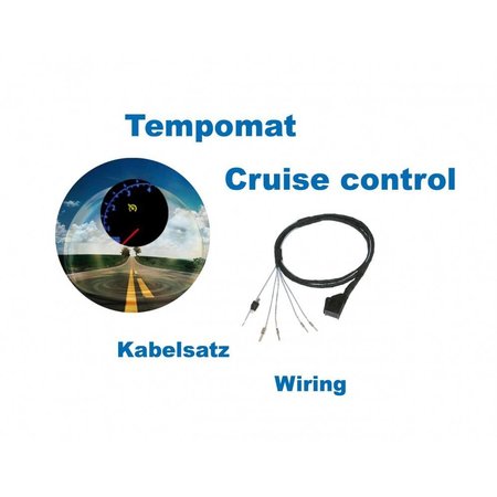 Cruise Control - Harness - VW Golf 4 - Gasoline