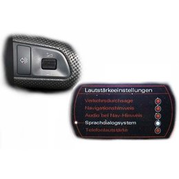 SDS Speech Dialog System - Retrofit - Audi A6 4F