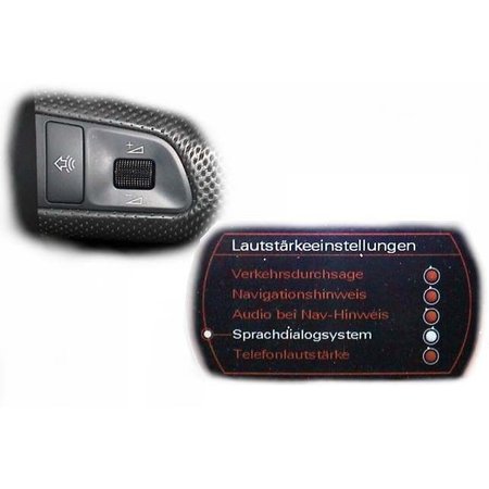 SDS Sprachdialogsystem - Retrofit - Audi A5 8T