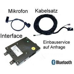 Bluetooth Premium (met rSAP) - Retrofit - VW Passat B7