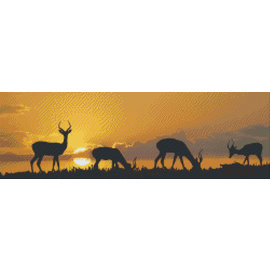 Pixel Hobby PixelHobby coucher de soleil Afrique - 10 feuilles