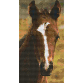 Pixel Hobby Pixelhobby paardenhoofd - 6 platen
