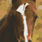 Pixel Hobby PixelHobby tête de cheval - 6 records