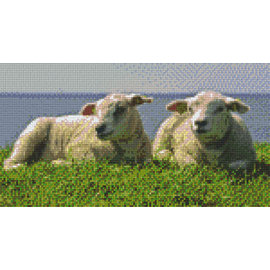 Pixel Hobby PixelHobby moutons - 6 fiches