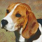 Pixel Hobby PixelHobby chien - 4 plaques