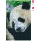 Pixel Hobby Pandabeer - 2 Platen