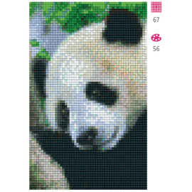 Pixel Hobby Pandabeer - 2 plaques