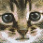 Pixel Hobby Pixelhobby Kat 1 basisplaat