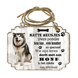 Hondenbordje: Alaska Malamute