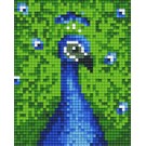 Pixel Hobby Pixelhobby 1 Basisplaat Pauw