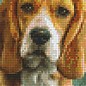 Pixel Hobby Pixelhobby 2 Basisplaten Beagle