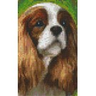 Pixel Hobby Pixelhobby 2 basisplaten King charles