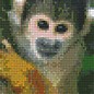 Pixel Hobby PixelHobby zweiten Grundplatten Affe