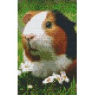 Pixel Hobby Pixelhobby 2 basisplaten Cavia