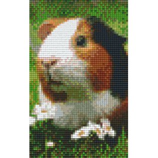 Pixel Hobby PixelHobby zweiten Grundplatten Guinea