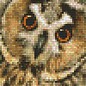 Pixel Hobby PixelHobby zweiten Fußplatten Owl