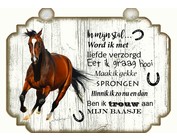 Paardenbordjes (30x21cm)