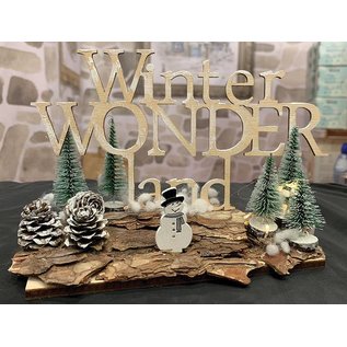 Creatief Art Winter Wonder Land