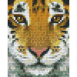 Pixel Hobby Pixel-Hobby 1 Grundplatte Tiger