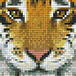 Pixel Hobby Plaque de base Pixel 1 Tiger