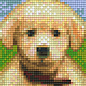 Pixel Hobby Pixel hobby 1 Plaque de base Chiot