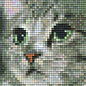 Pixel Hobby Pixelhobby 1 Basisplaat Kat