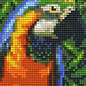 Pixel Hobby Pixelhobby 1 Basisplaat Papagaai